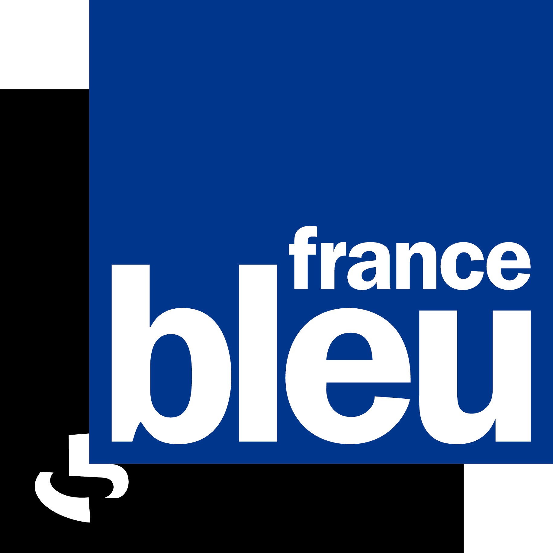 Résultat de recherche d'images pour "france bleu"